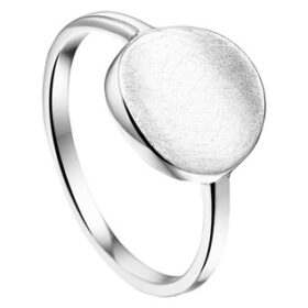 13.24570 zilveren ring gecratcht